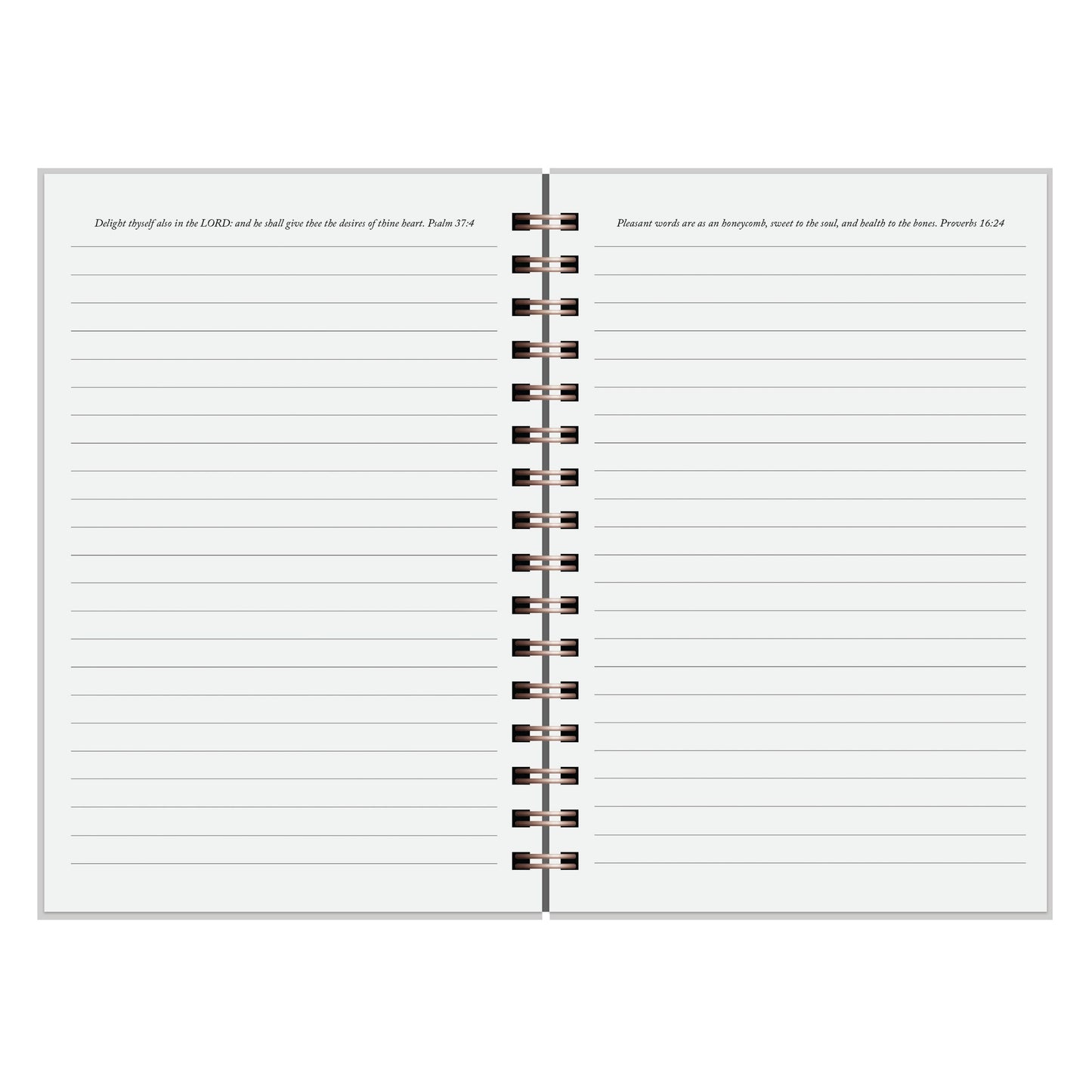 Women Destination Journal