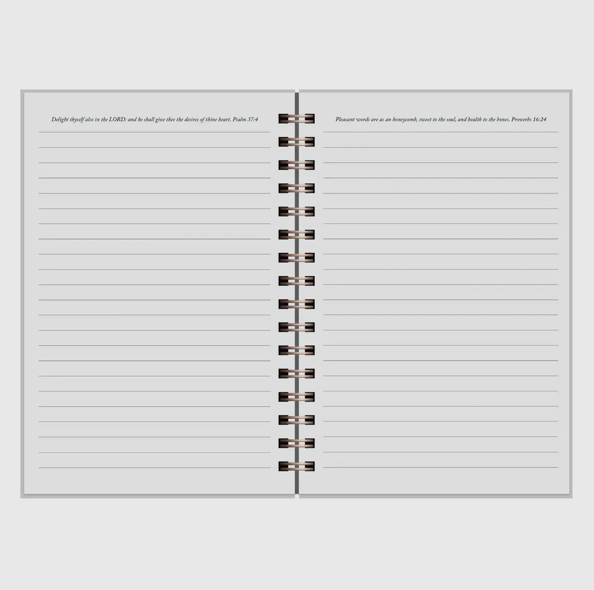 Journal - Power & Jesus