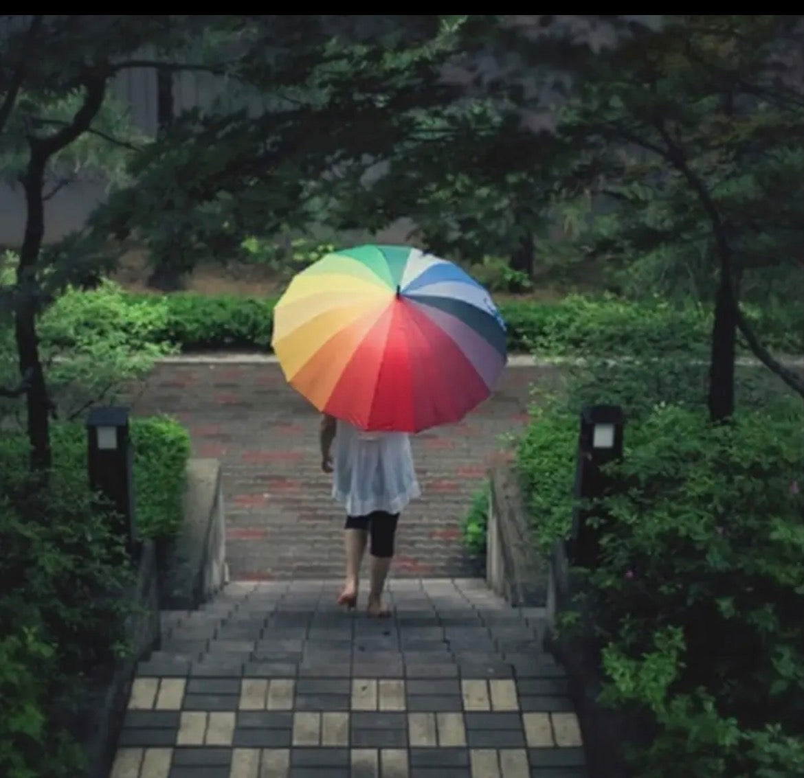 The Rainbow Umbrella