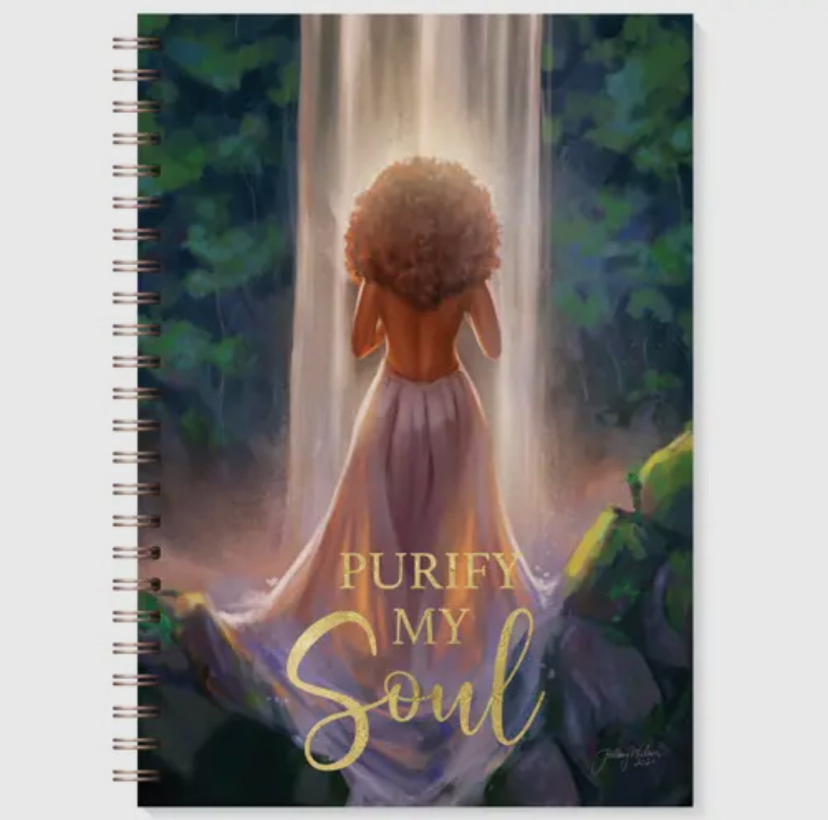 Journal - Purify