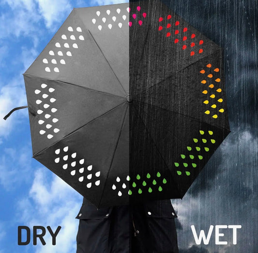 Color Changing Umbrella