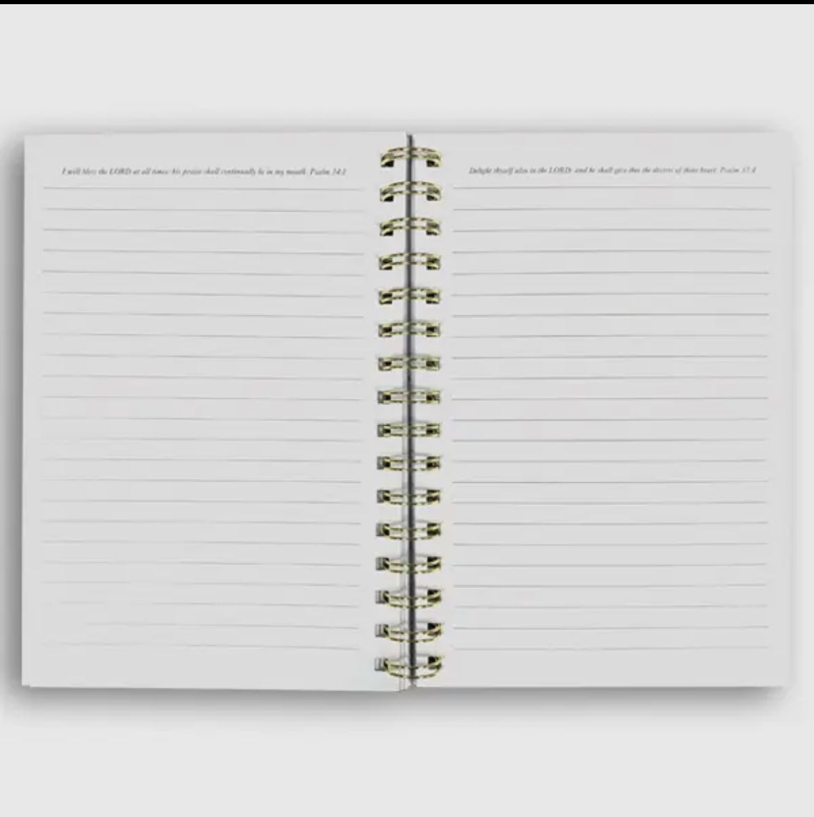 Journal - Praises & Blessings