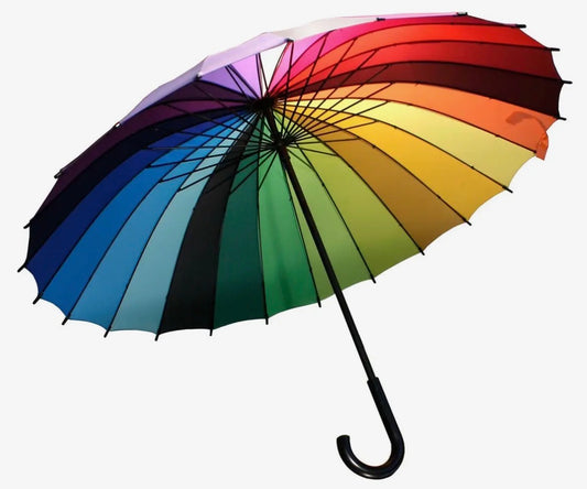 The Rainbow Umbrella