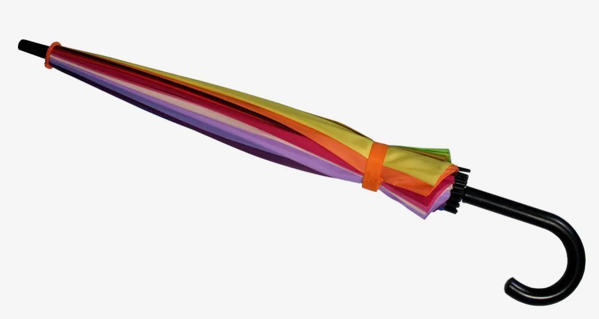 The Rainbow Umbrella