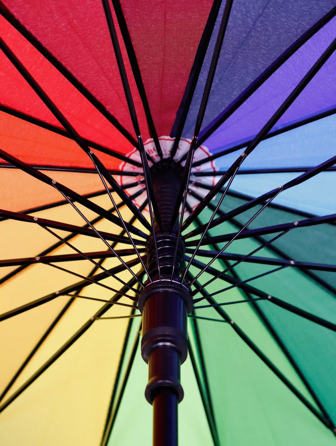 The Rainbow Umbrella